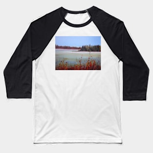 Winter in Island Lake Park Baseball T-Shirt